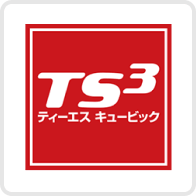 TS3